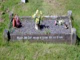 image of grave number 595353